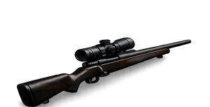 Bolt Action